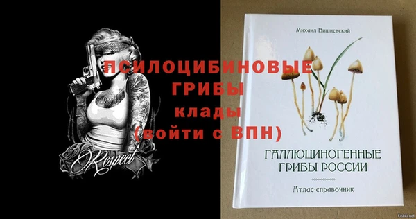 спайс Богородск