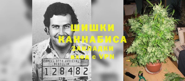 спайс Богородск