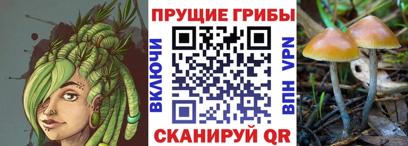 Галлюциногенные грибы мицелий  Купить где  Няндома 